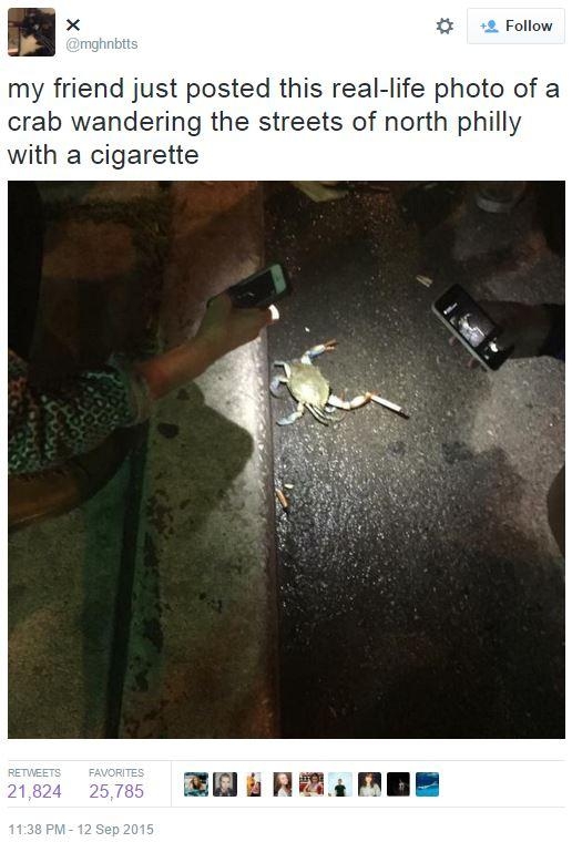 crab with cigarette meme Crabs Smoking Cigarettes crab with cigarette meme Crabs Smoking Cigarettes