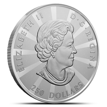 2023 Proof Canadian Multifaceted Maple Leaf Silver Coin 